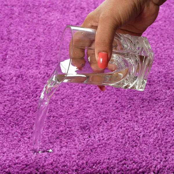 MAA_HOME_CONCEPT_Microfiber_Bath_Mat_Super_Absorbent/Anti-Skid_Mats_for_Bathroom/Bedroom/Door_Mat/Kitchen/Floor_Mat_(Purple,_40X60)