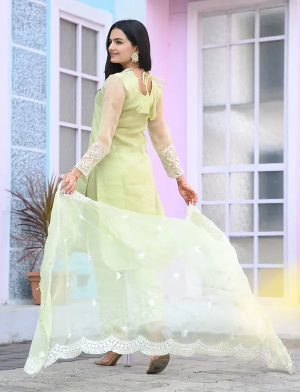 Multicolor_New_Designer_Top_Pant_Dupatta_With_Embroidered_Sequence_Work_Organza_Suit_Fabric_For_Women