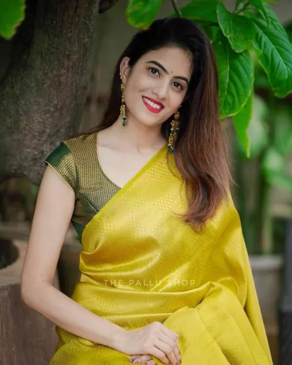 Golden_Saree_With_Soft_Lichi_Silk_Fabric_With_Jacquard_Work_With_Gold_For_Women