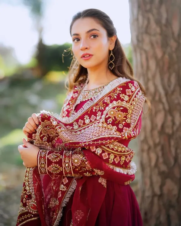 Royal_Maroon_Anarkali_with_Intricate_Golden_Embroidery