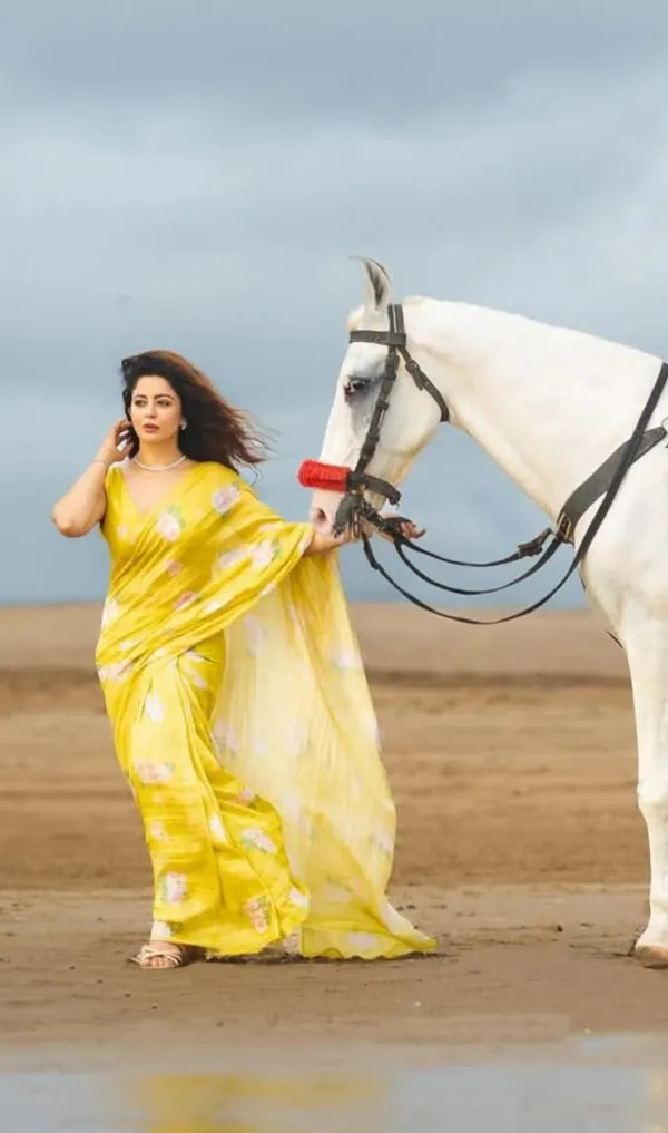 Multi_Colour_soft_linen_cotton_saree