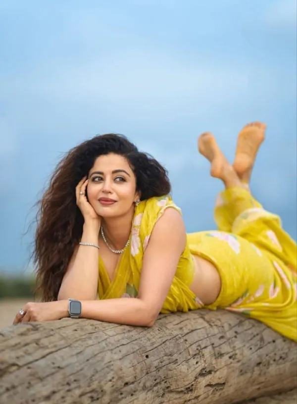 Multi_Colour_soft_linen_cotton_saree