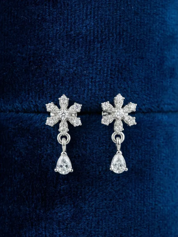 Silver_Elegant_Earring_set