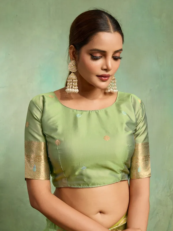 Mint_Green_Banarasi_Silk_Saree_with_Golden_Zari_&_Meenakari_Jaal_Weave