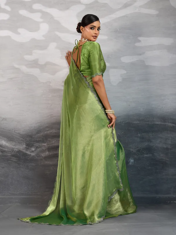 Rich_Pastel_Green_Burberry_Chiffon_Saree_with_Zarkan_&_Cutdana_Applique_Lace_Work