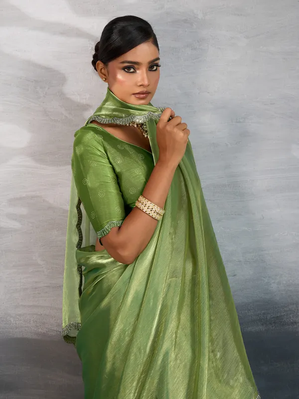 Rich_Pastel_Green_Burberry_Chiffon_Saree_with_Zarkan_&_Cutdana_Applique_Lace_Work