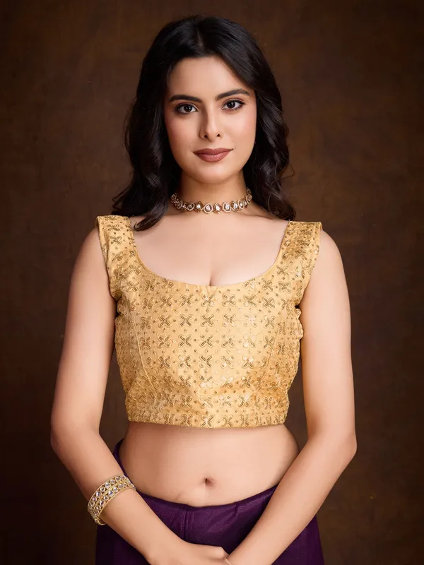 Royal_Purple_with_Golden_Lace_border_Infused_Twill_With_Dual_Blouse_Saree