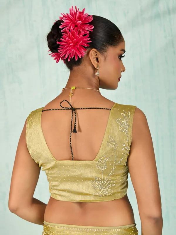 Elegant_Gold_Velvet_Chiffon_Saree_With_Zarkan_&_Cutdana_Work_For_Women
