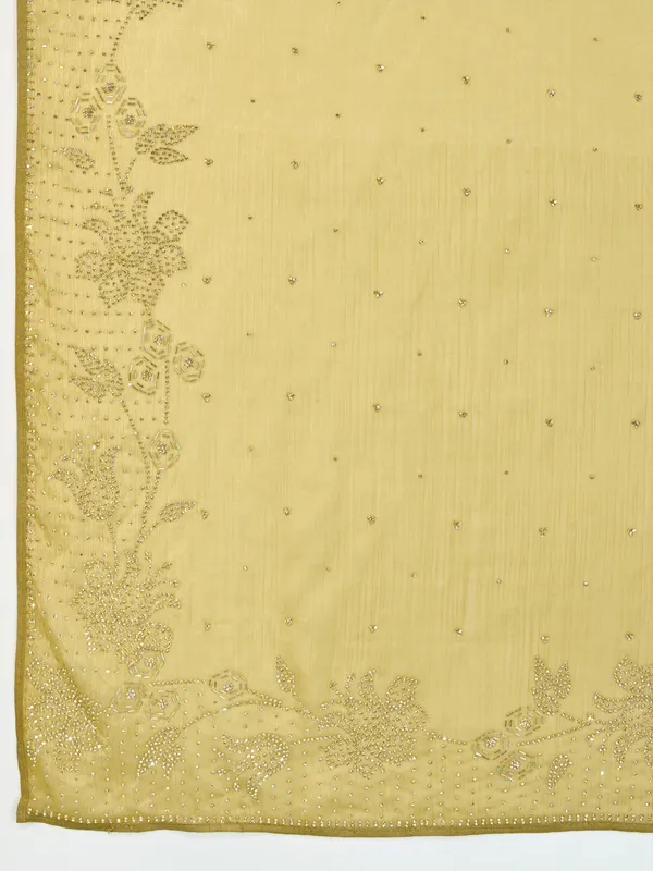 Elegant_Gold_Velvet_Chiffon_Saree_With_Zarkan_&_Cutdana_Work_For_Women