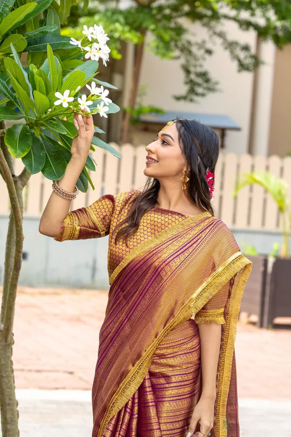 Regal_Maroon_and_Gold_Mysore_Brocade_Silk_With_Dual_Lace_Work_Saree