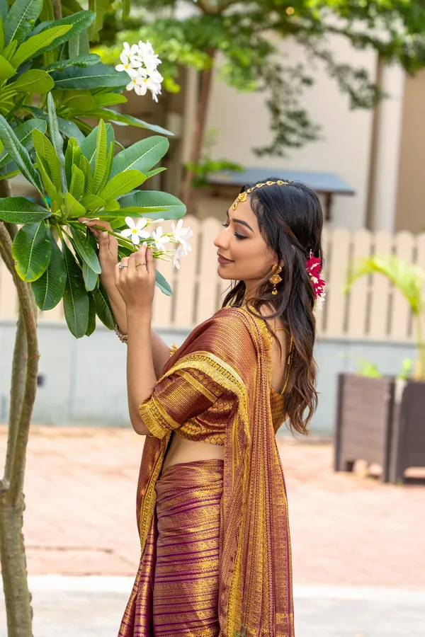 Regal_Maroon_and_Gold_Mysore_Brocade_Silk_With_Dual_Lace_Work_Saree
