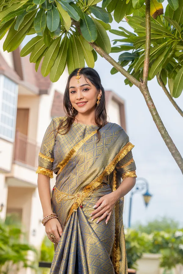 Deep_Navy_Blue_&_Gold_Triple_Woven_Mysore_Brocade_Silk_With_Dual_Lace_Work_Saree