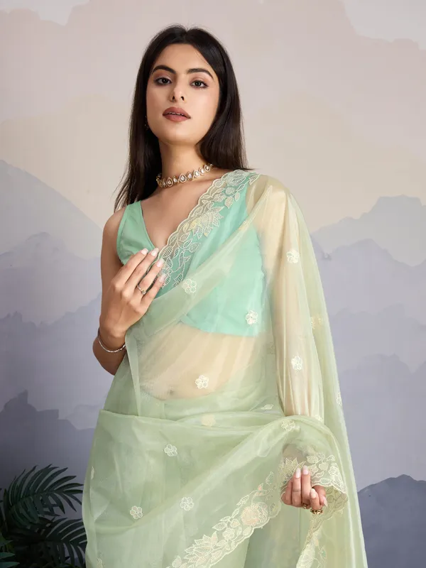 Pastel_Mint_Green_with_gold_infused_Twill_Saree_For_Women