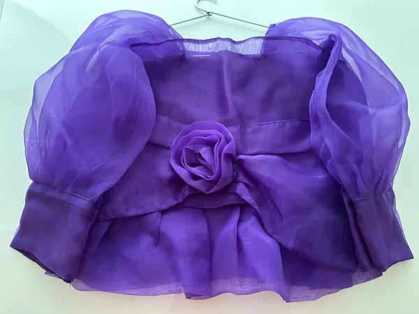 Trendy_Violet_Long_Sleeve_Stylish_Crop_Top_for_Women