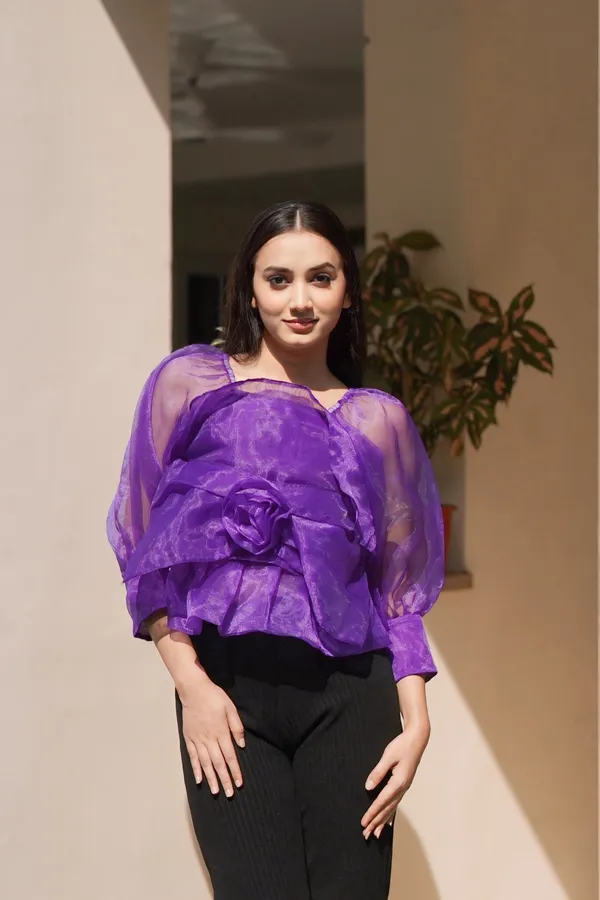 Trendy_Violet_Long_Sleeve_Stylish_Crop_Top_for_Women