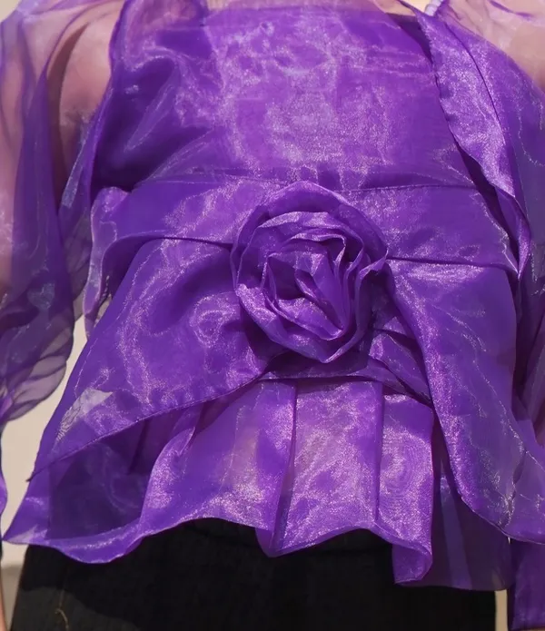 Trendy_Violet_Long_Sleeve_Stylish_Crop_Top_for_Women