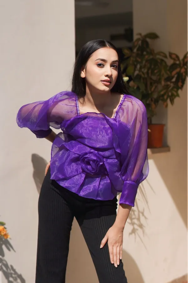 Trendy_Violet_Long_Sleeve_Stylish_Crop_Top_for_Women