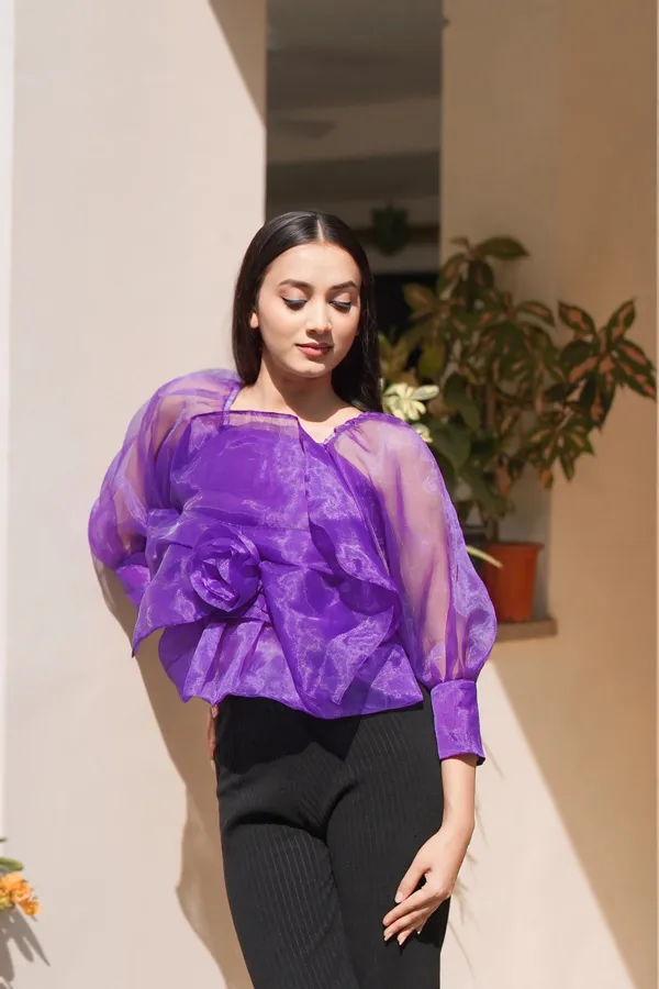 Trendy_Violet_Long_Sleeve_Stylish_Crop_Top_for_Women