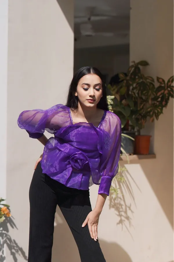 Trendy_Violet_Long_Sleeve_Stylish_Crop_Top_for_Women