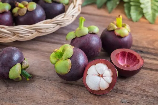 Mangosteen_Fruit_Plant