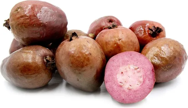 Red-Malaysian-Guava-Amrood-Layering-Grafted-Fruit-Live-Plant