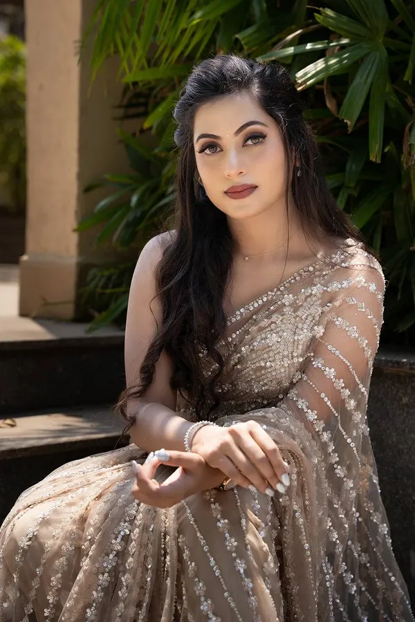Heavy_Nylone_Butterfly_Net_Bollywood_style_saree