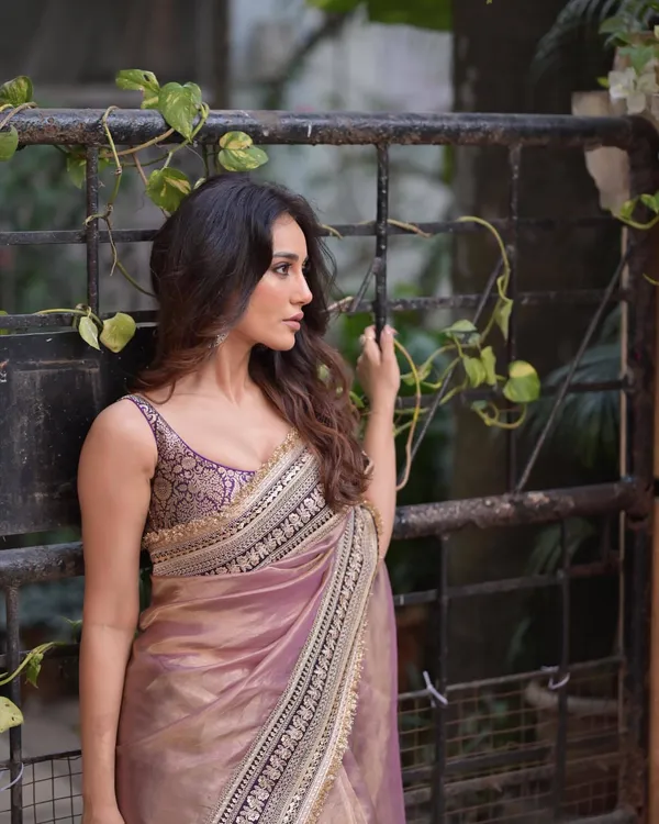 Jari_dori_embroidery_Work_with_fancy_fark_Lacr_border_in_saree