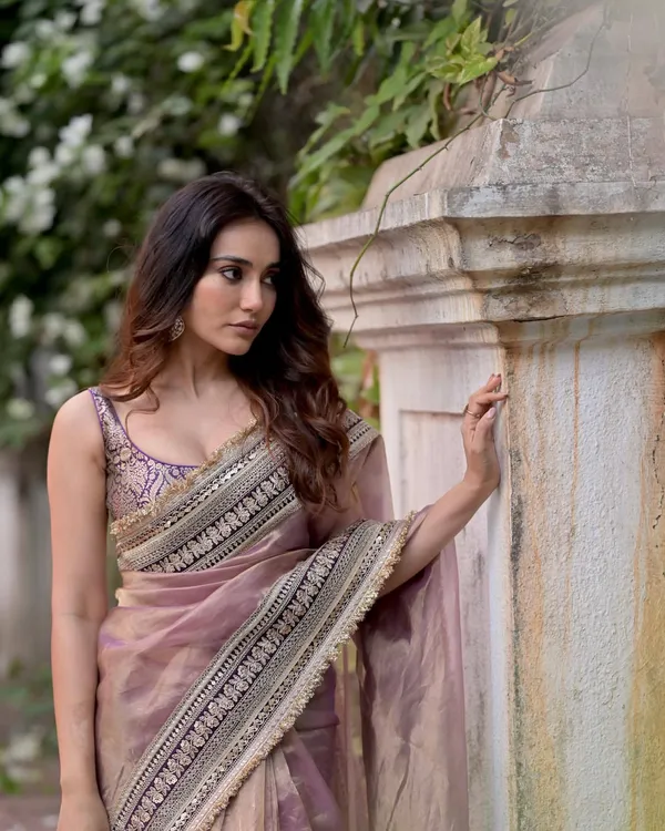 Jari_dori_embroidery_Work_with_fancy_fark_Lacr_border_in_saree