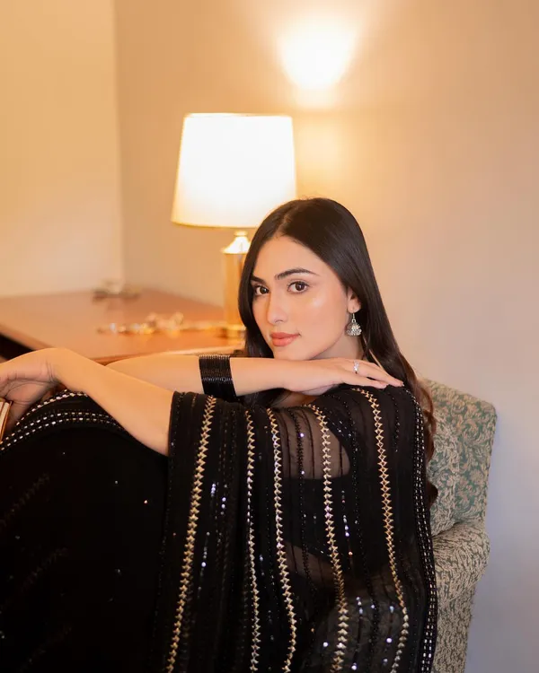 Beautiful_Black_Sequins_&_Multi_Embroidery_Work_Done_On_Saree