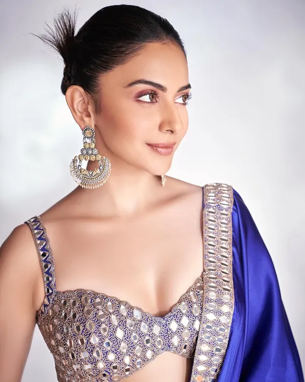 Japan-Satin-Silk-Saree-With-Real-Mirror_Work