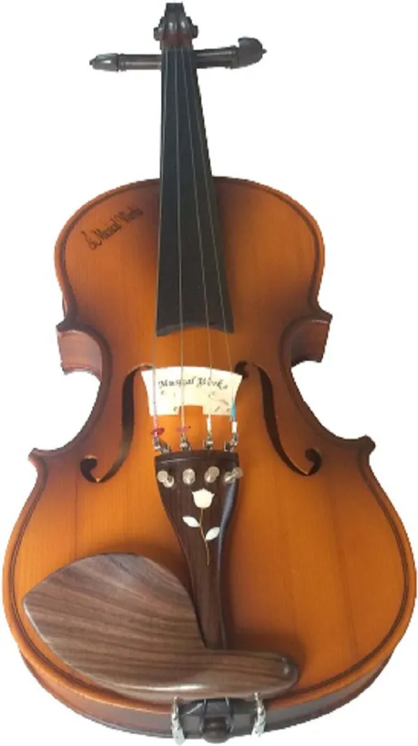 Yellow_Spruce_Semi_Acoustic_Violin_For_Begginers_Professionals