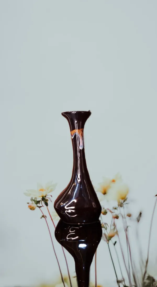 KANHA_ENTERPRISES_Black_Home_Decorative_Ceramic_Bud_Vase?Long_Neck_Design_Flower_Vase?Modern_Living_Room_Table_Decor_Ceramic_Pot?Elegant_Shape_Flower_Vase(13_Inch)