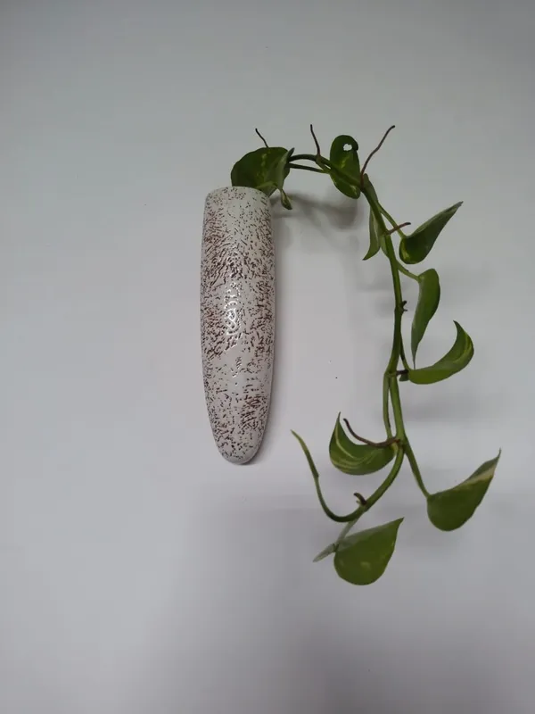 KANHA_ENTERPRISES_Pack_Of_2_White__Texture_Ceramic_Wall_Mounted_Planter?Wall_Giri?Indoor_Decorative_Wall_Planter?Living_Room_Ceramic_Decorative_Wall_Giri_(7_Inch)