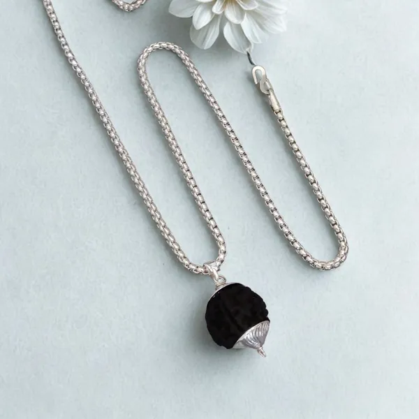 Rudraksha_Necklace_For_Him_&_Her_(Silver_Plated)