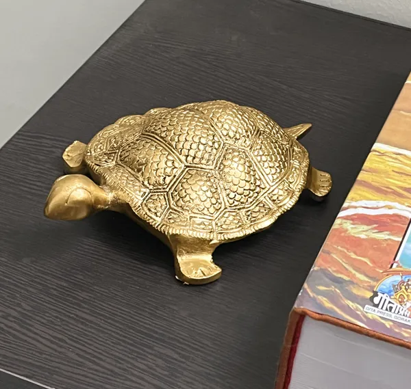 Hastcraft_Metal_Tortoise_(Kachua)_with_Number_Grid_-Vastu_&_Feng_Shui_Energy_for_Home_&_Office__for_Stability_&_Positivity_-_Decorative_&_Gift_Piece