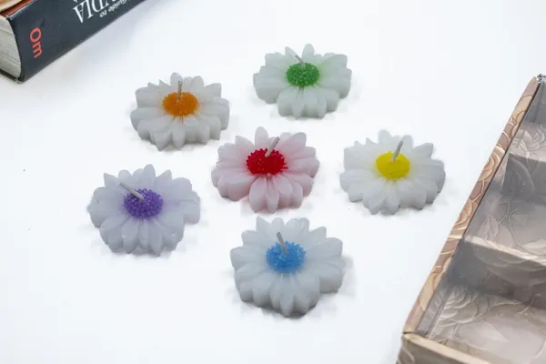 Stone_and_Feather_Daisy_Floating_Candles_(Pack_of_6)_for_Home_d??or,_Rituals,_and_ambiance