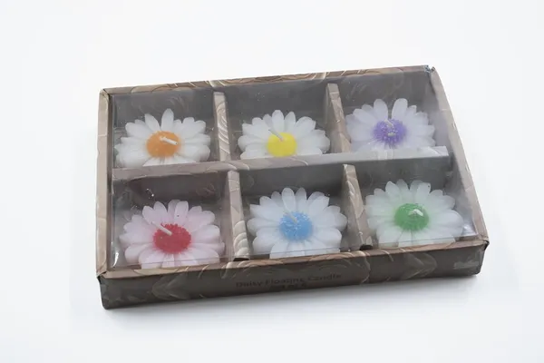 Stone_and_Feather_Daisy_Floating_Candles_(Pack_of_6)_for_Home_d??or,_Rituals,_and_ambiance