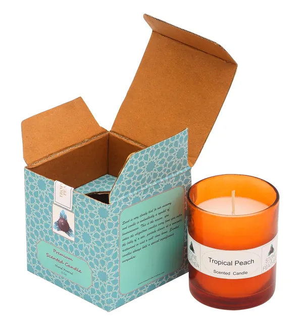 Tropical_Peach_Scented_Paraffin_Wax_Round_Candle_|_(30-35_Hr)