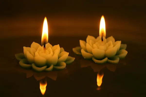 Stone_and_Feather_Lotus_Floating_Candles_Green_(Pack_of_2)_for_Home_d??or,_Rituals,_and_ambiance