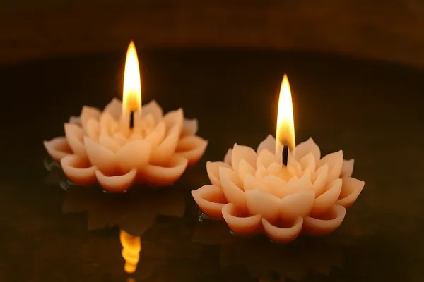 Stone_and_Feather_Lotus_Floating_Candles_Red_(Pack_of_2)_for_Home_d??or,_Rituals,_and_ambiance