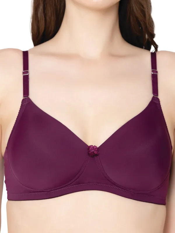 Wine_Lightly_Padded_Everyday_T-Shirt_Bra