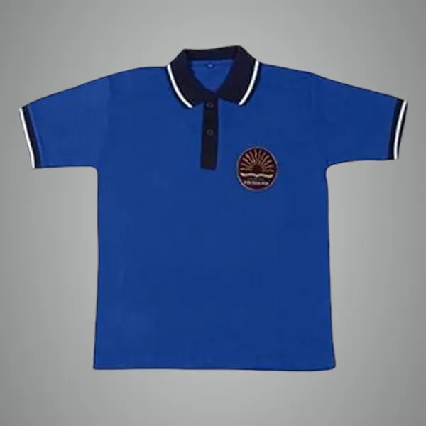 Blue_Cotton_School_Uniform_T-Shirt_For_Kids