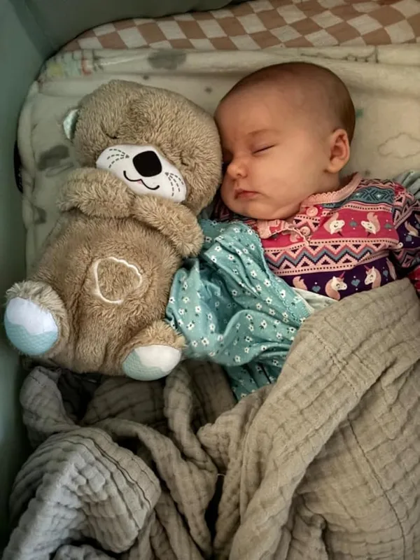 Multicolor_Introducing_The_Soothe_Snuggle_Otter,_The_Perfect_Plush_Companion_Designed_To_Settle_Your_Baby_Into_A_World_Of_Comforting_Cuddles