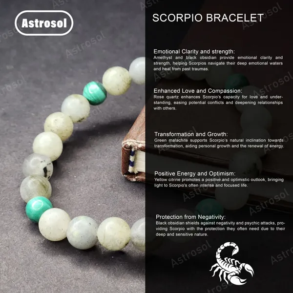 Scorpio_Zodiac_Healing_Bracelet_(Oct_23_–_Nov_21)_–_Obsidian_&_Garnet_for_Protection_&_Strength
