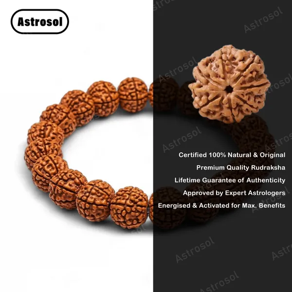 7_Mukhi_Rudraksha_Healing_Bracelet_–_Wealth,_Spiritual_Growth_&_Good_Fortune