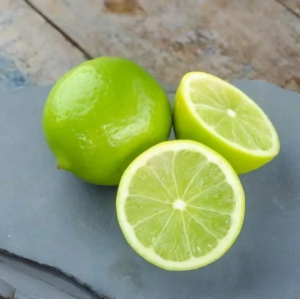 All_time_Kolkata_Pati_Lemon_|_Grafted_and_Hybrid_Plants