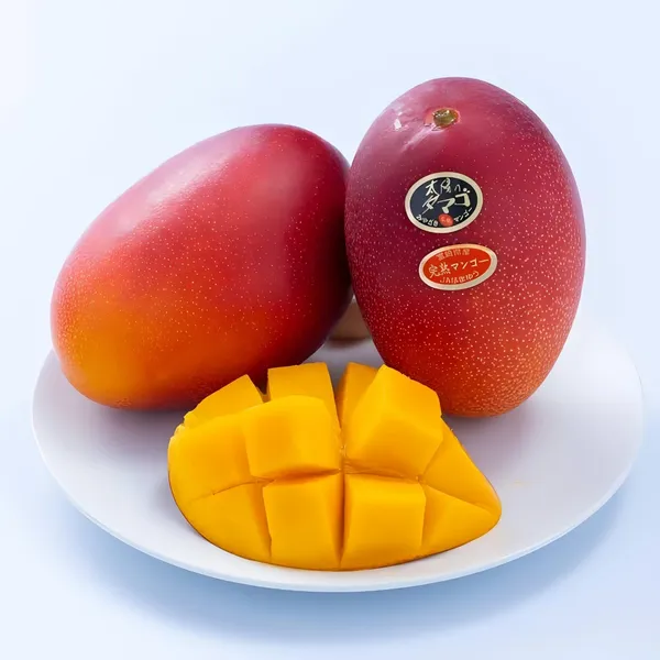 Egg_Of_Sung_Mango