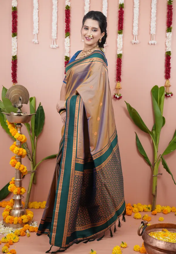 Chikoo_Soft_Silk_With_Floral_Motifs_Weaved_Saree_With_Blouse_Piece_For_Women_&_Girl