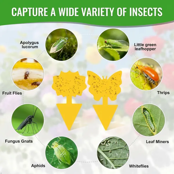 Prime_Pick_Sticky_Traps_Set_of_12_–_Strong_Adhesive_Insect_&_Cockroach_Glue_Traps_for_Home,_Kitchen_&_Office