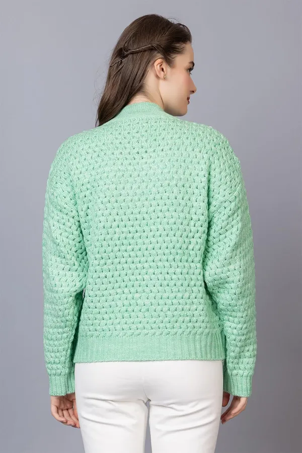 Light_Green_Women_Pullover_Sweater_Relaxed_Fit_For_Winter_Wear_Full_Sleeve_100%_Wool_Latest_Stylish_Turtle_Neck_Sweater_For_Winter_Wear